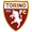 logo Torino